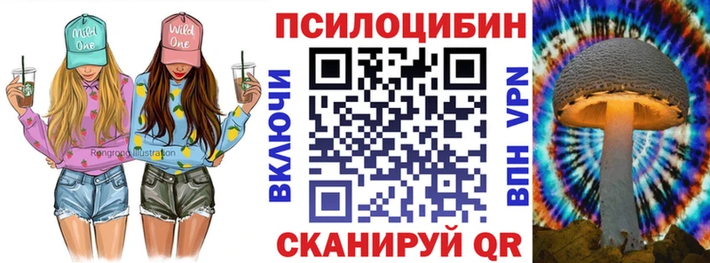 мега как войти закладки Пущино Галлюциногенные грибы Cubensis